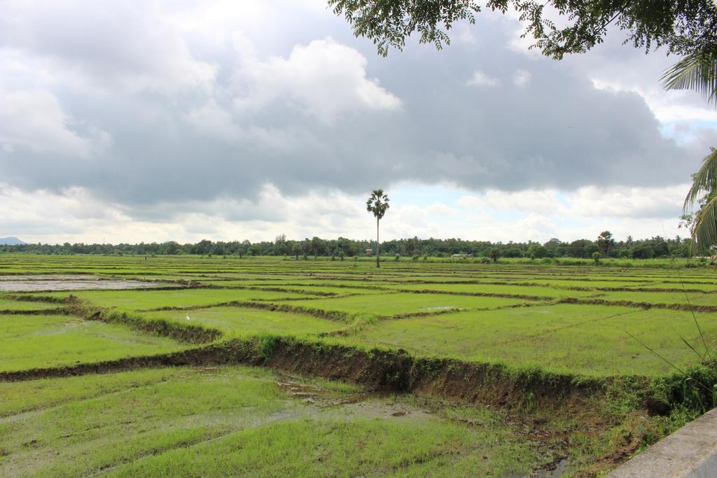 Sunshine Tourist Rest Hotell Anuradhapura Eksteriør bilde
